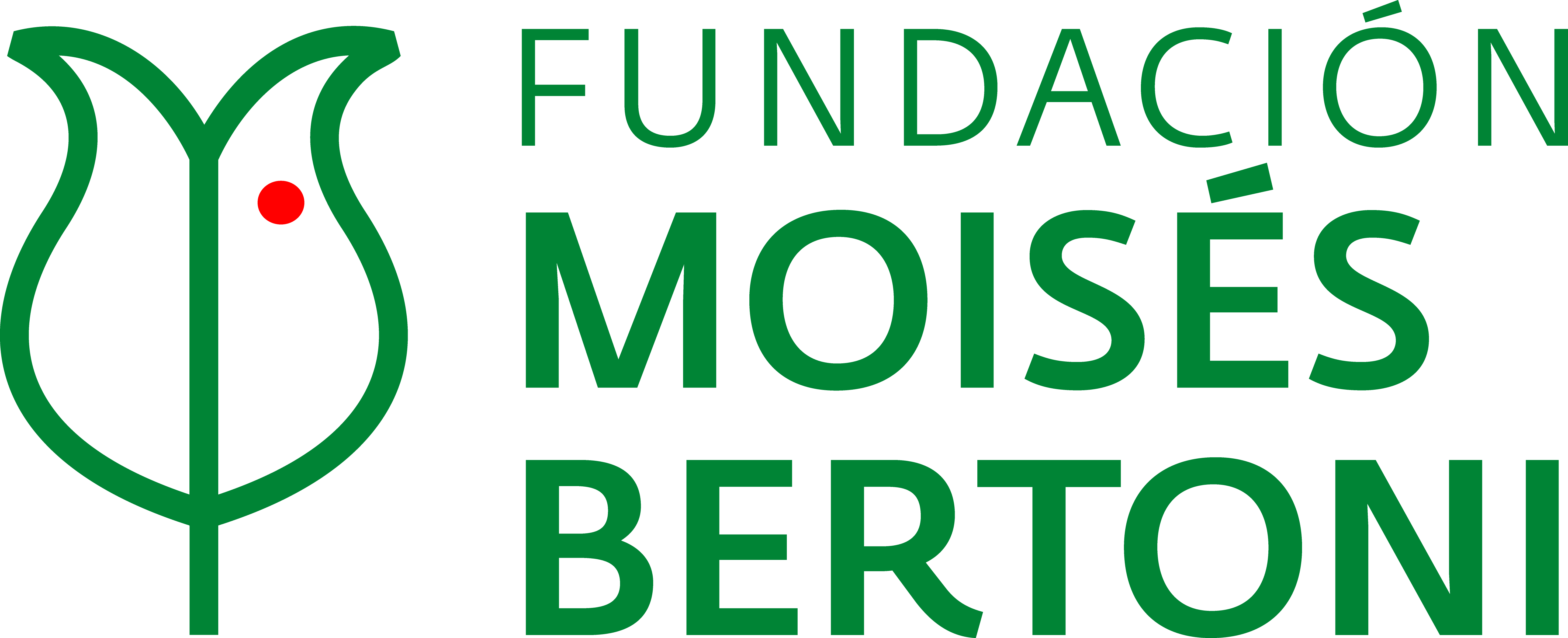 FMB logo